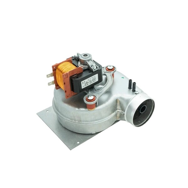 ANEMISTIRAS BUDERUS U52