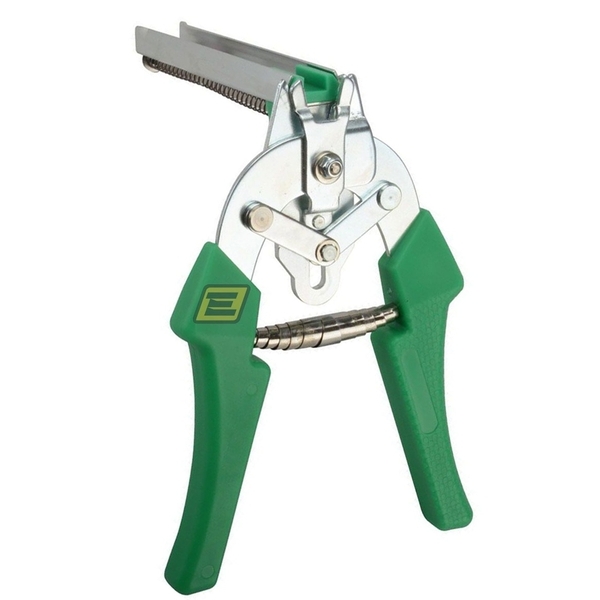 pensa sirmatoplegmatos